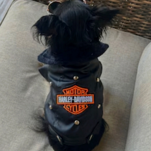 Harley davidson puppy jacket xs - Picture 1 of 2